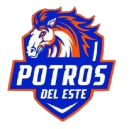 巴拿马阿连扎后备队